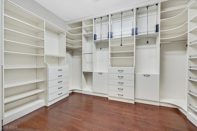 walk in closet with dark hardwood / wood-style floors