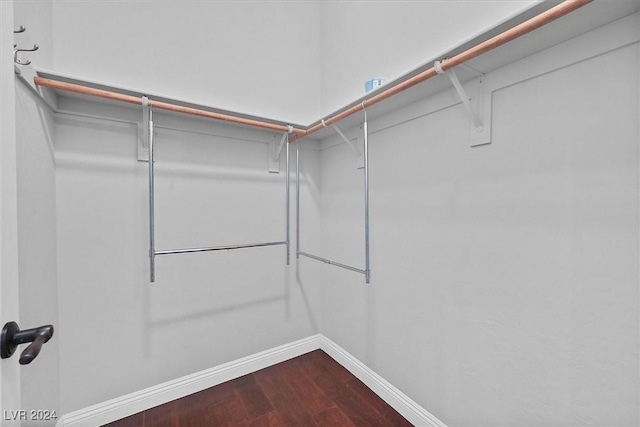 spacious closet with hardwood / wood-style floors