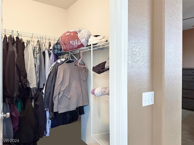 view of walk in closet