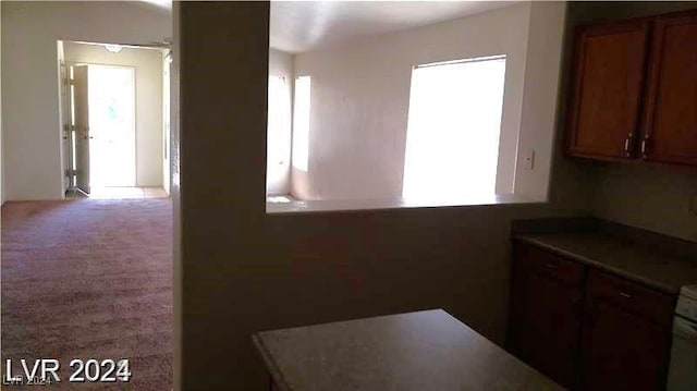 kitchen featuring light colored carpet