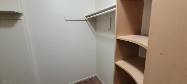 spacious closet with carpet flooring