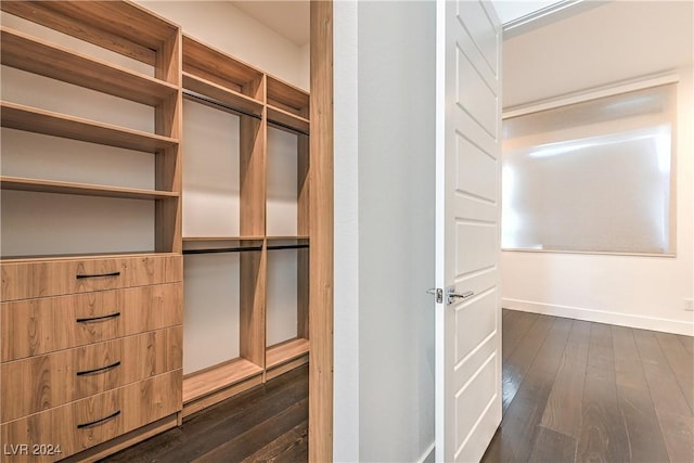 walk in closet featuring dark wood finished floors