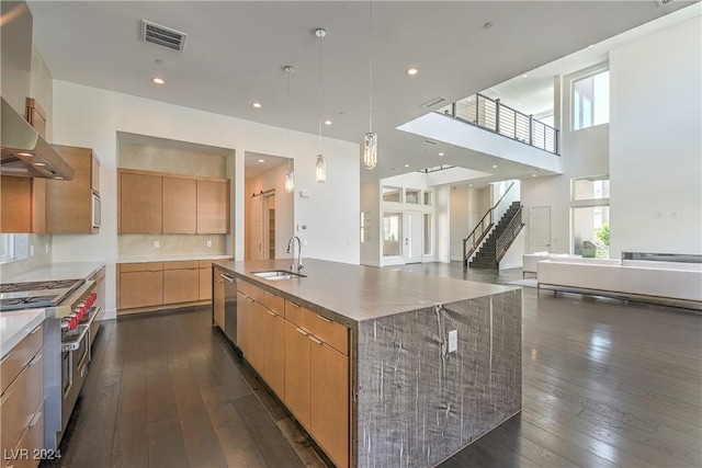 kitchen featuring stainless steel appliances, dark wood finished floors, a sink, and modern cabinets