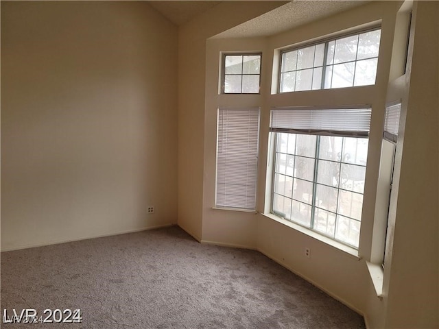 spare room featuring light colored carpet