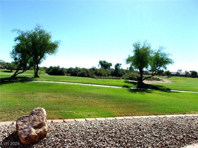 view of home's community featuring a yard