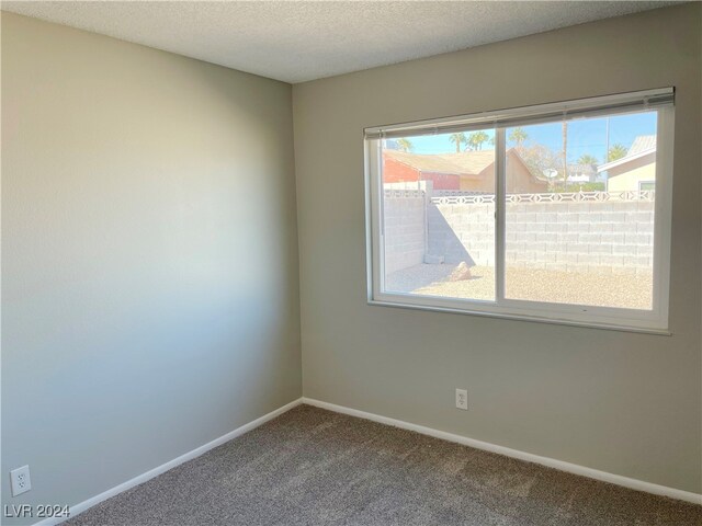 carpeted empty room featuring a textured ceiling and plenty of natural light