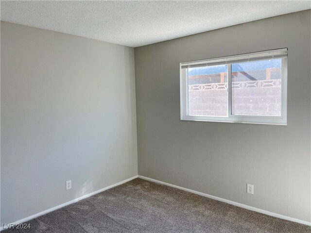 carpeted spare room with a healthy amount of sunlight and a textured ceiling