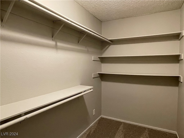 spacious closet featuring carpet