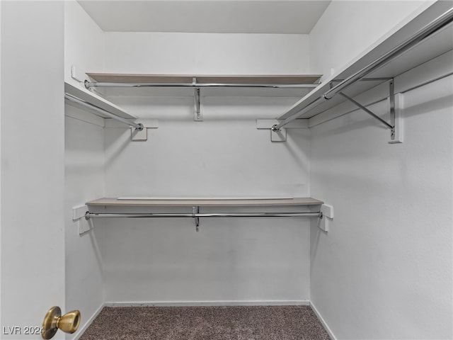 spacious closet featuring dark carpet