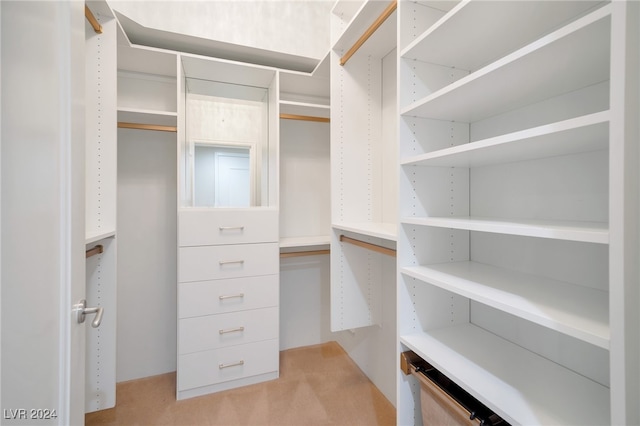 spacious closet featuring light carpet