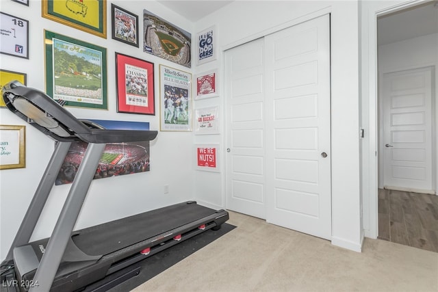 workout room featuring light carpet