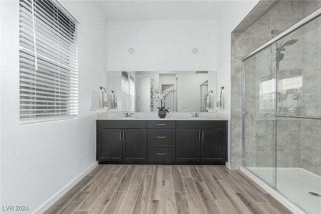 bathroom featuring vanity, wood-type flooring, and a shower with shower door