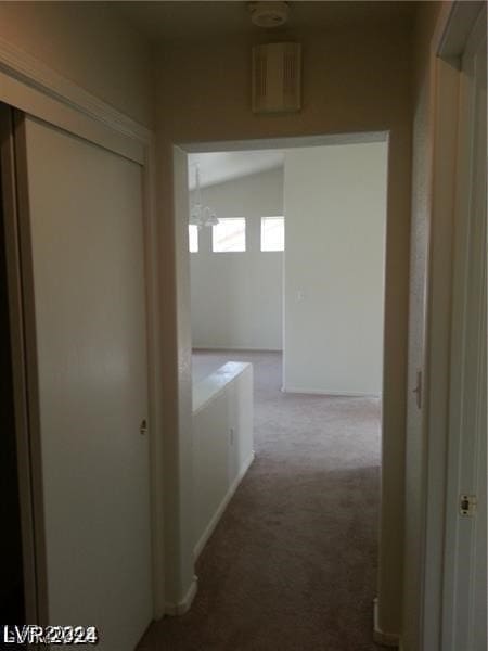 corridor featuring carpet floors