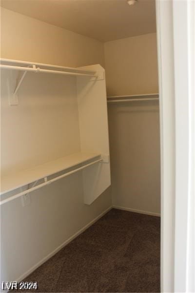 walk in closet with dark carpet