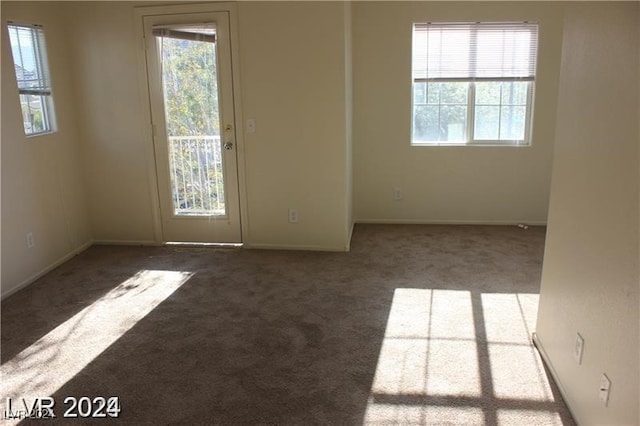 carpeted spare room with a wealth of natural light