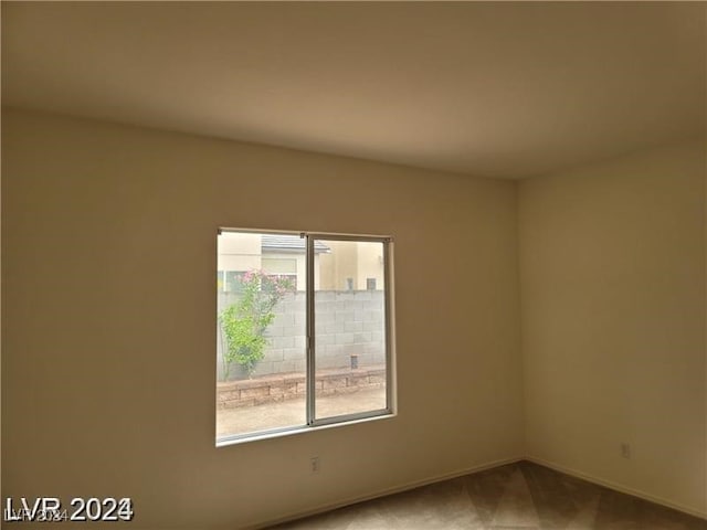 carpeted spare room featuring a wealth of natural light