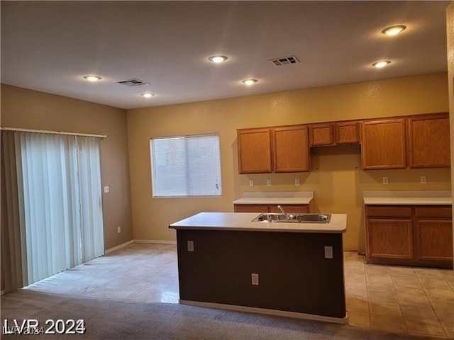 kitchen with light carpet, a kitchen island with sink, and sink