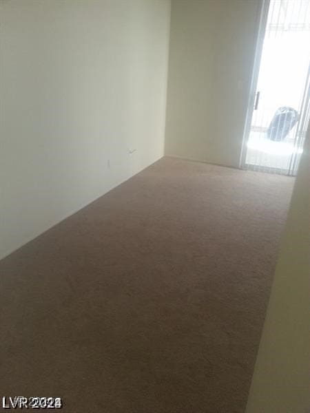 spare room with carpet floors