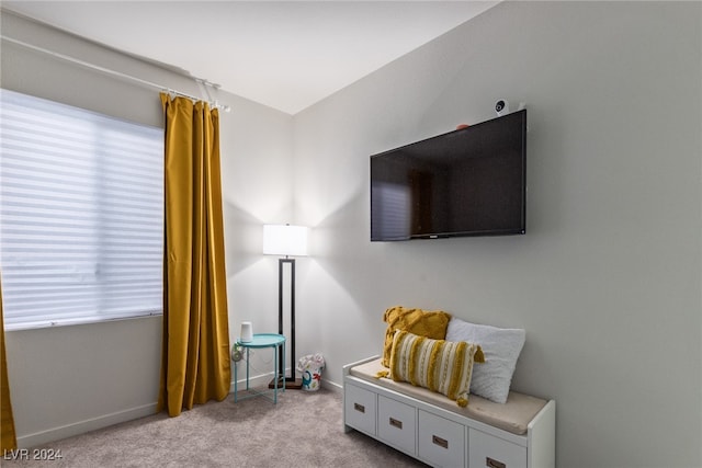 bedroom featuring light carpet