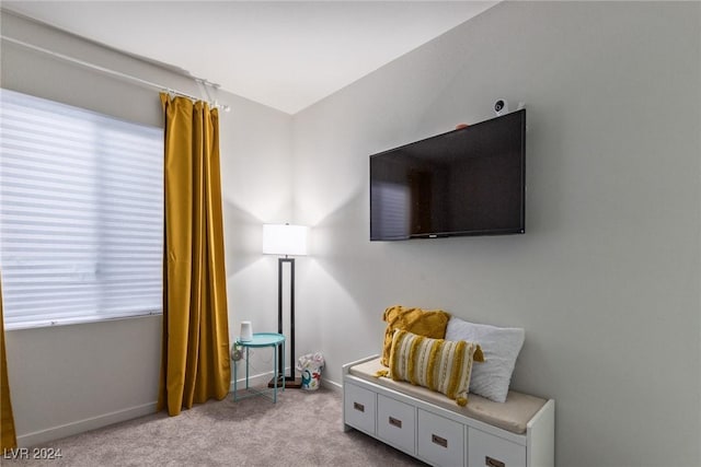 living area featuring baseboards and carpet flooring