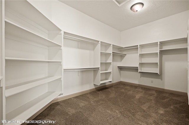 spacious closet with dark colored carpet