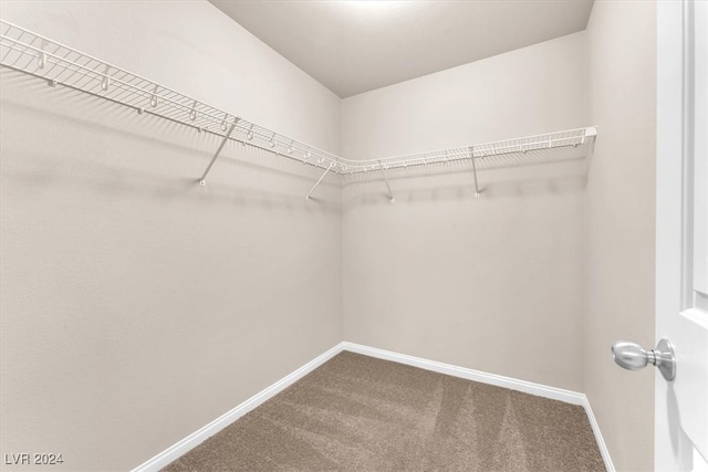 walk in closet with carpet flooring