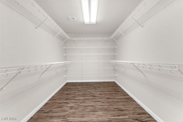 walk in closet featuring dark hardwood / wood-style flooring