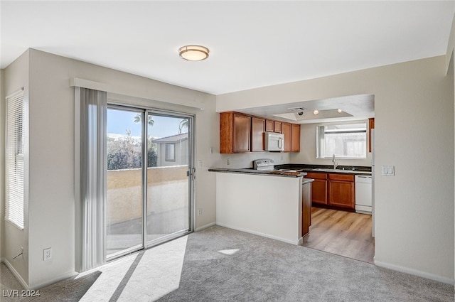 kitchen with sink, light carpet, and white appliances