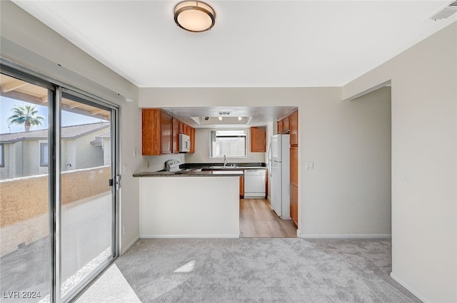 kitchen with sink, light carpet, and white appliances