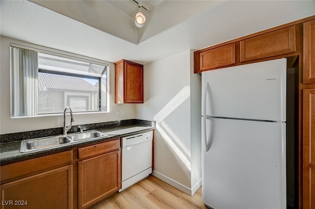 kitchen with sink, light hardwood / wood-style floors, and white appliances