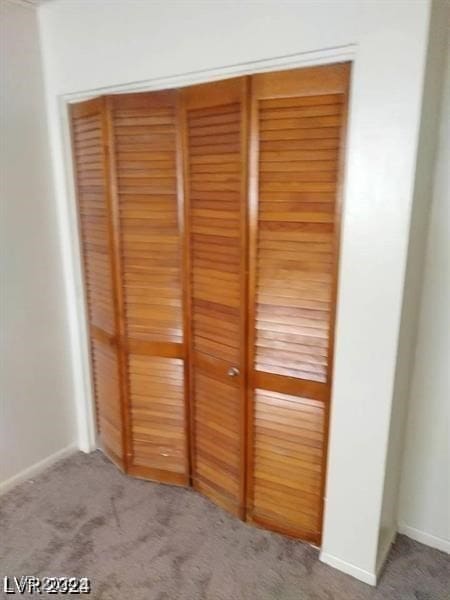 interior space with light carpet and a closet