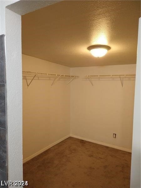 spacious closet with dark carpet