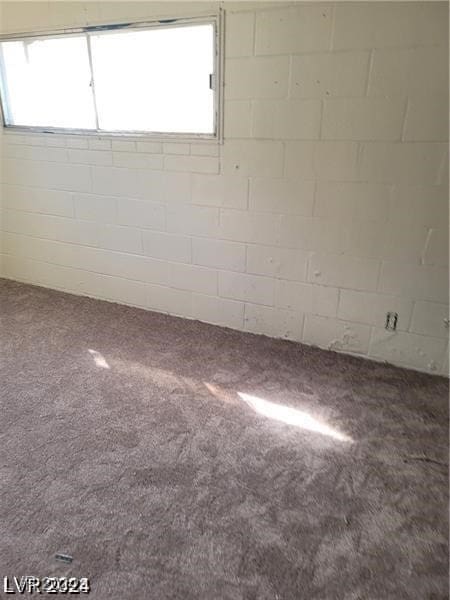 interior space featuring carpet flooring and a wealth of natural light