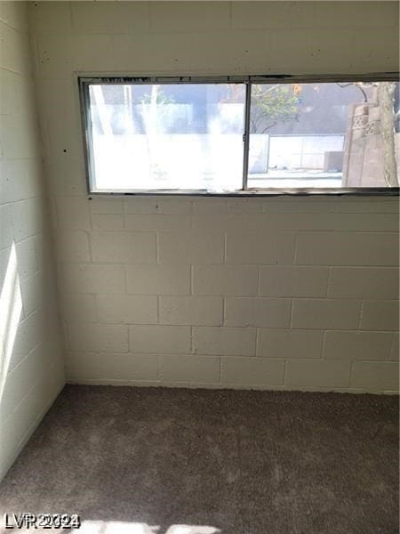 empty room with a wealth of natural light and carpet floors