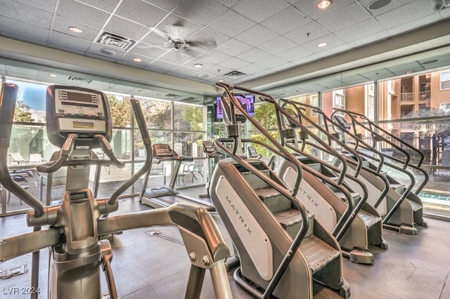 workout area with a drop ceiling, ceiling fan, a wall of windows, and a wealth of natural light