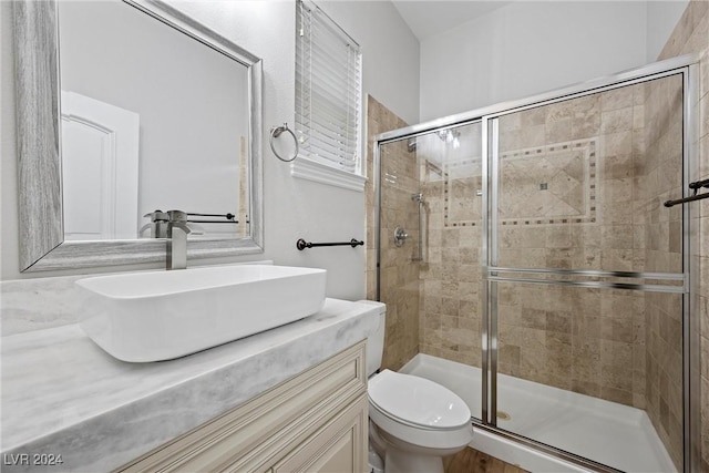 bathroom featuring vanity, toilet, and a shower with shower door