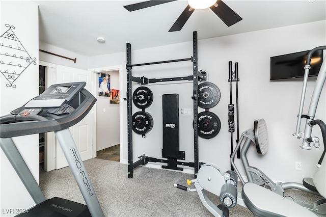 exercise area featuring ceiling fan