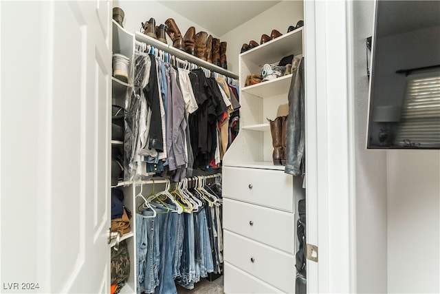 view of spacious closet