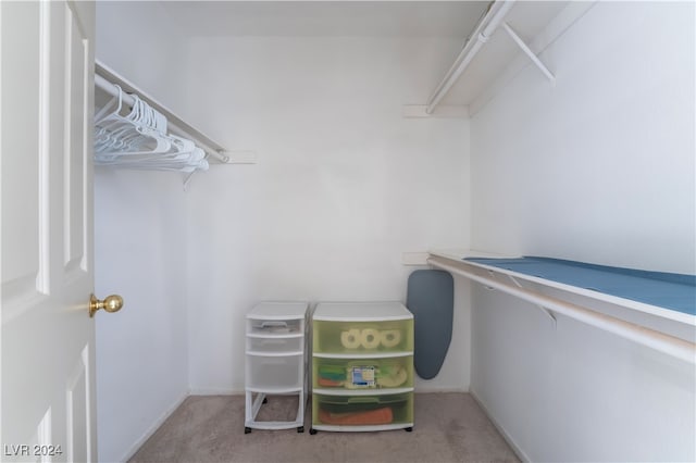 spacious closet with light carpet