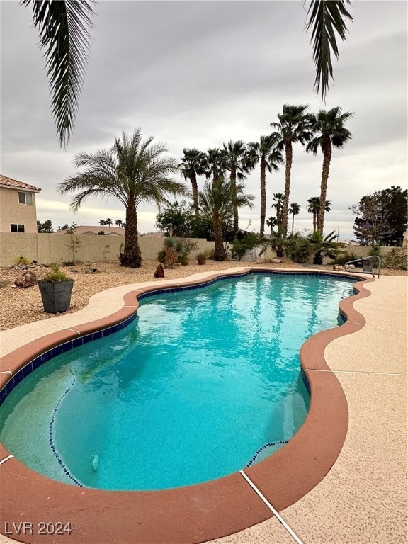 view of pool with a patio area