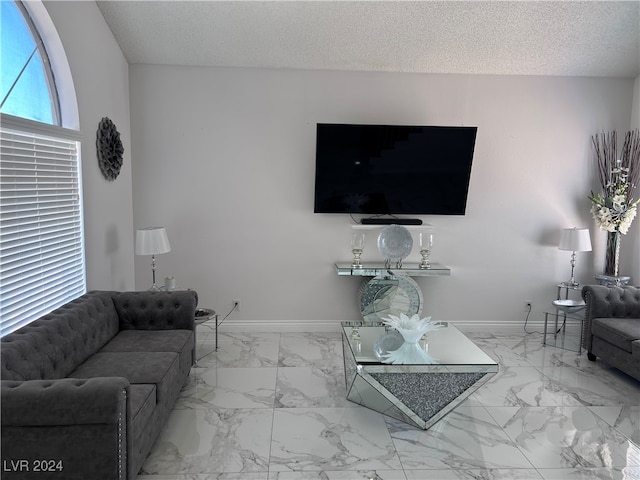 living room featuring a textured ceiling