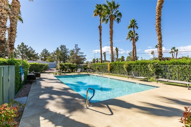 view of swimming pool with a patio area