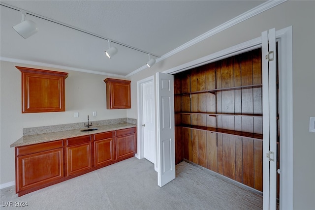 kitchen with rail lighting, light colored carpet, ornamental molding, and sink