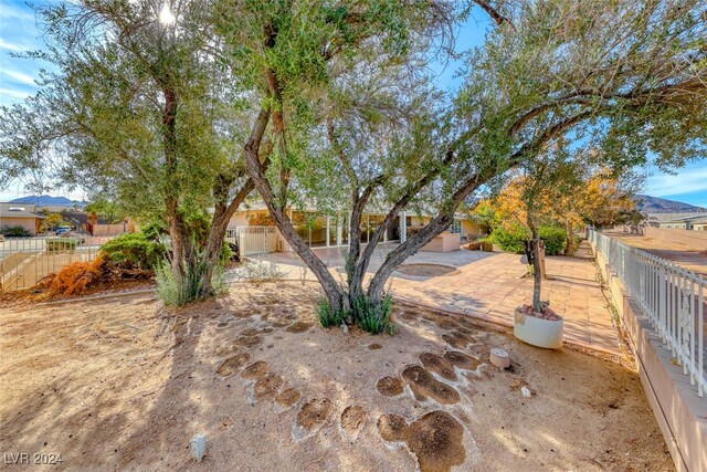 view of yard with a mountain view and a patio