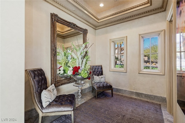 living area featuring crown molding and a raised ceiling