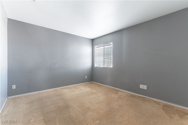 spare room featuring light colored carpet