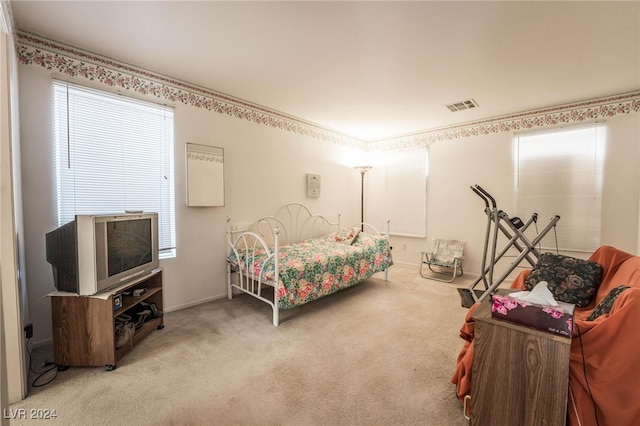 carpeted bedroom with multiple windows