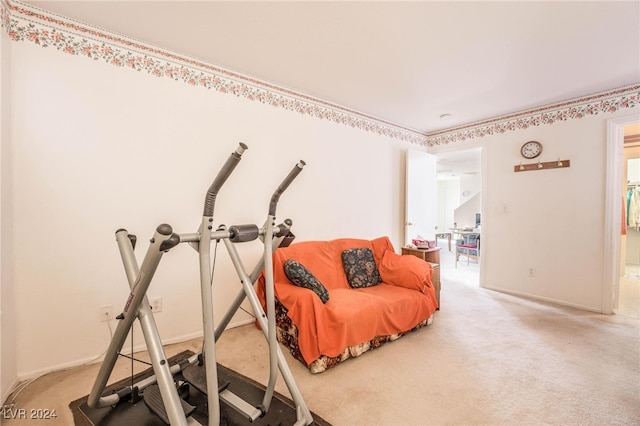 workout area featuring carpet flooring