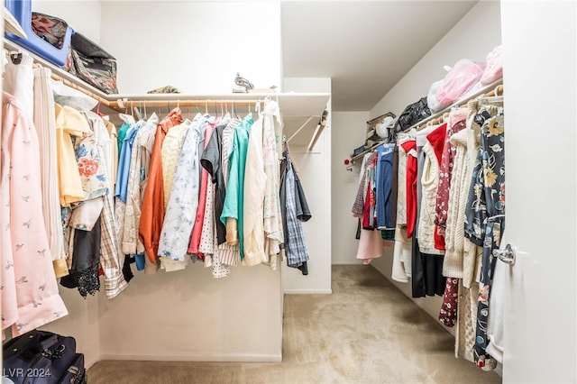 spacious closet featuring light colored carpet