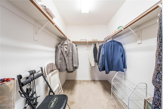 spacious closet with carpet flooring